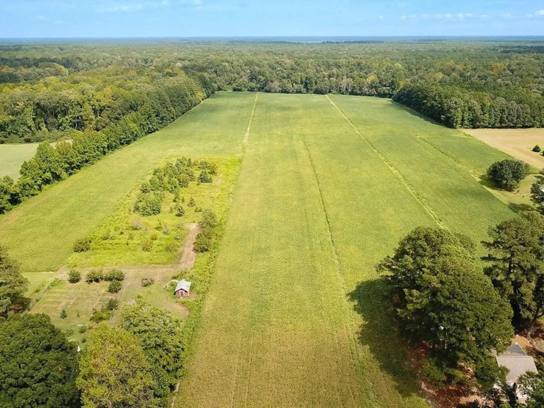 42.4 Acres of Farm and Timberland in the city of Chesapeake Virginia!