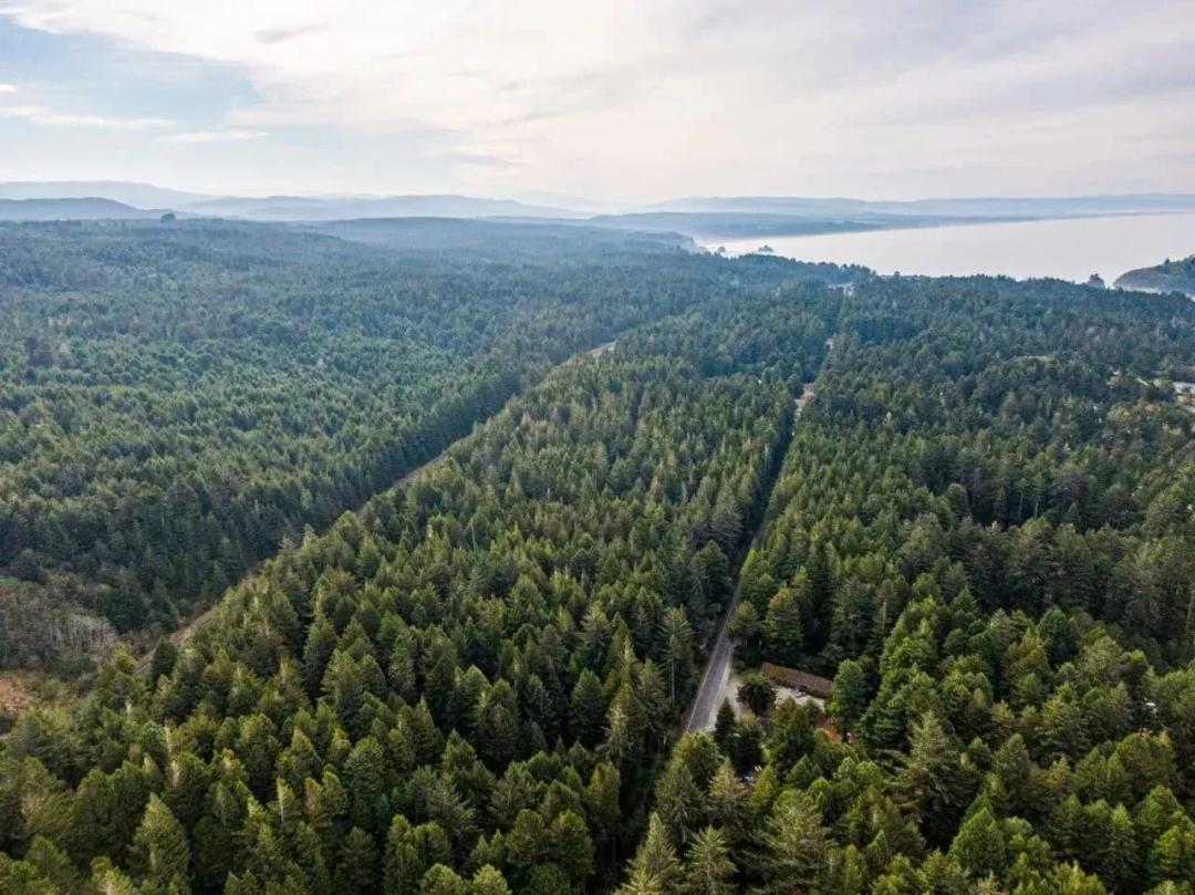 Trinidad Demonstration Forest