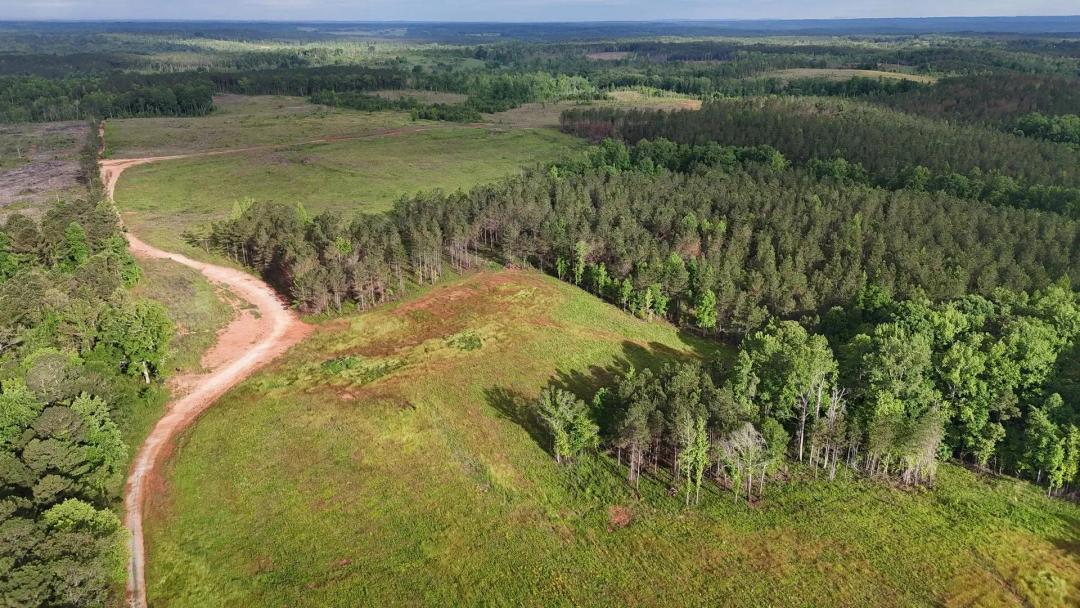 149 +/- Acres, PASTURE!!! Standing Rock, Chambers County, AL