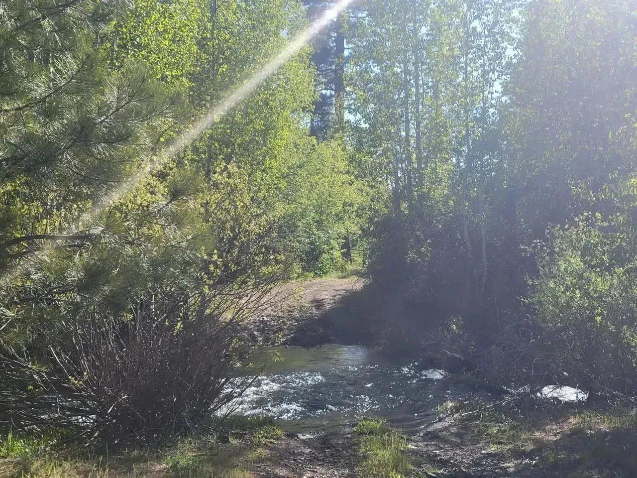 90668392-8
