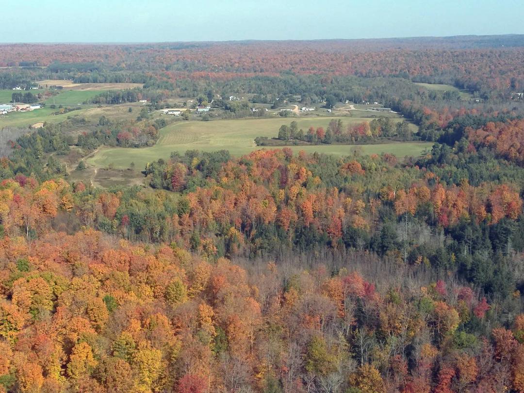 L-9164: 85+/- Acres of excellent hunting land located near Polar