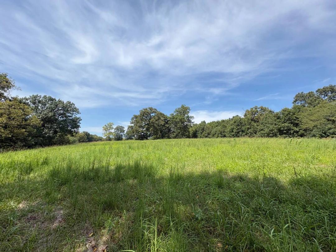 33.01 Acres at 9161 Bohlman Rd