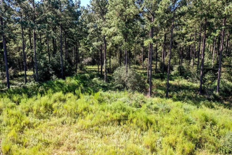 00 Trinlady Park Road, Trinity, TX 75862