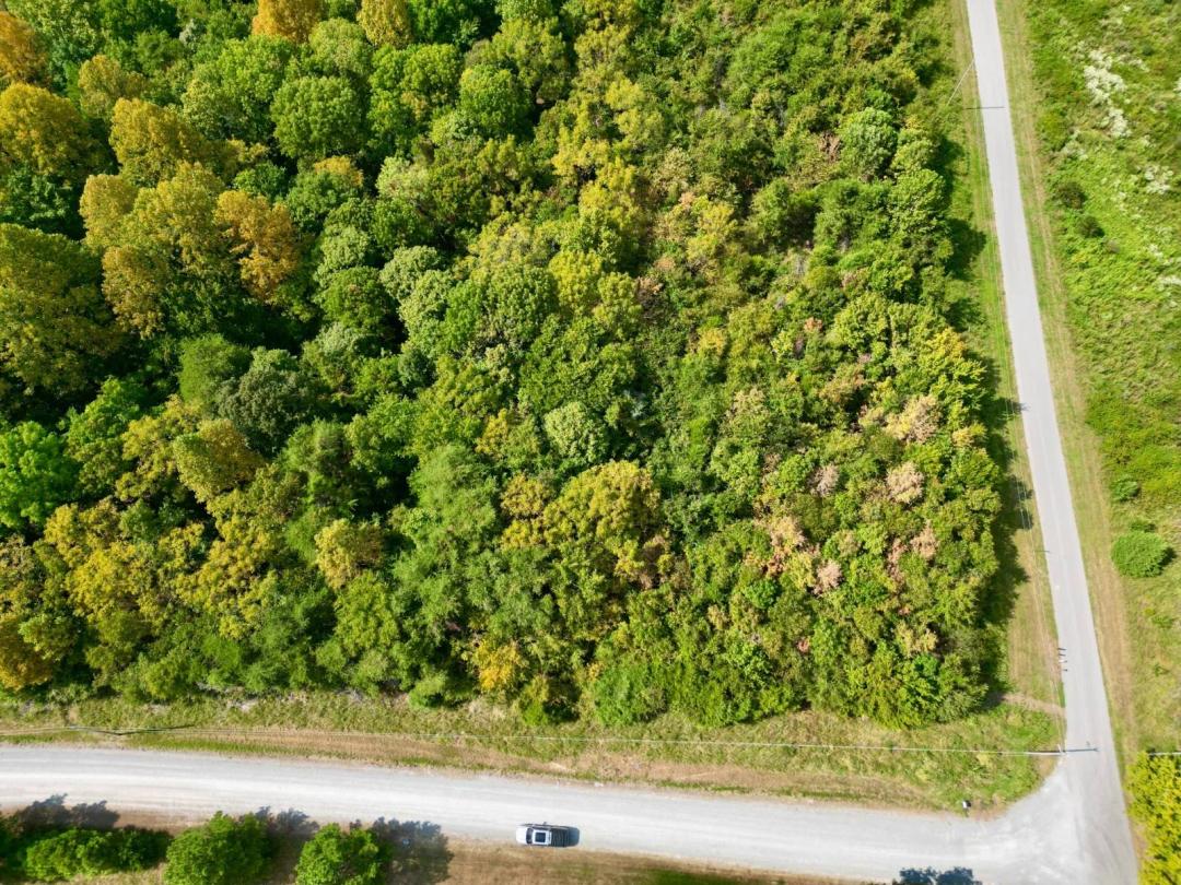 Online Auction! Beautiful Building Lot in Malone Meadows North!