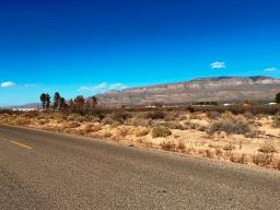 13 IMG_9366