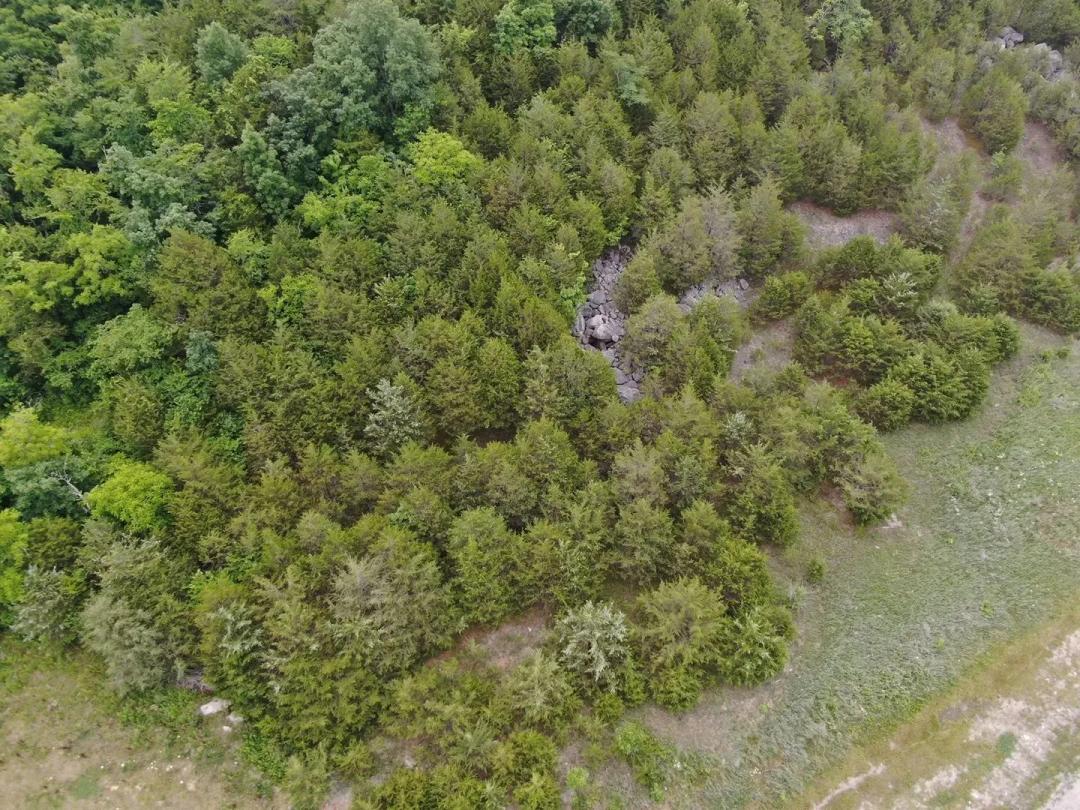 Prime Land Auction: Lot on US Highway 25E Grainger County TN