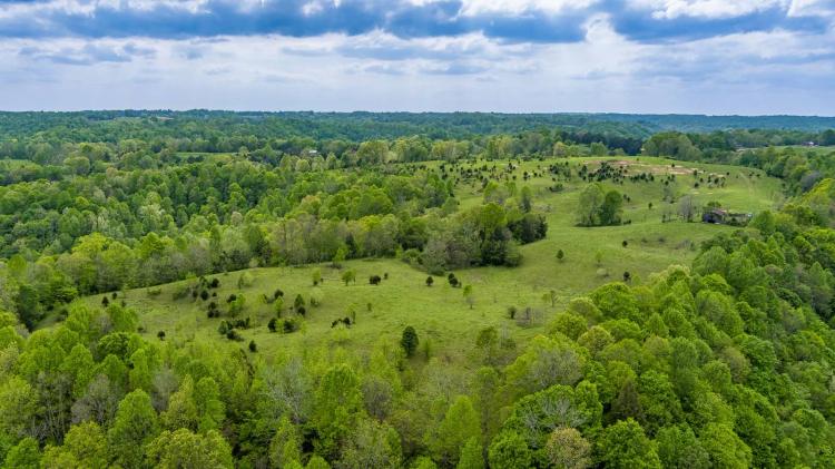 Farm Land in Albany, Kentucky