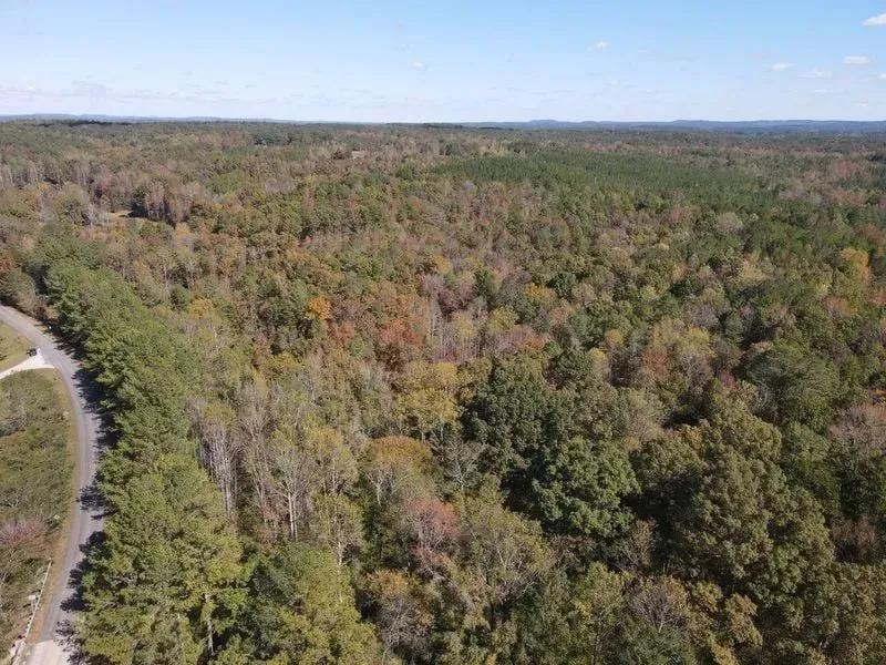 30 +/- Acres- Cragford Community- Clay County, AL