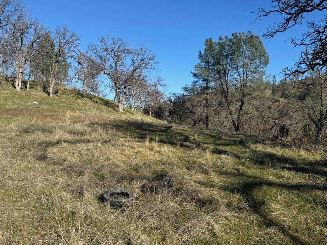 1.14 Acres at 7198 Amador Ct
