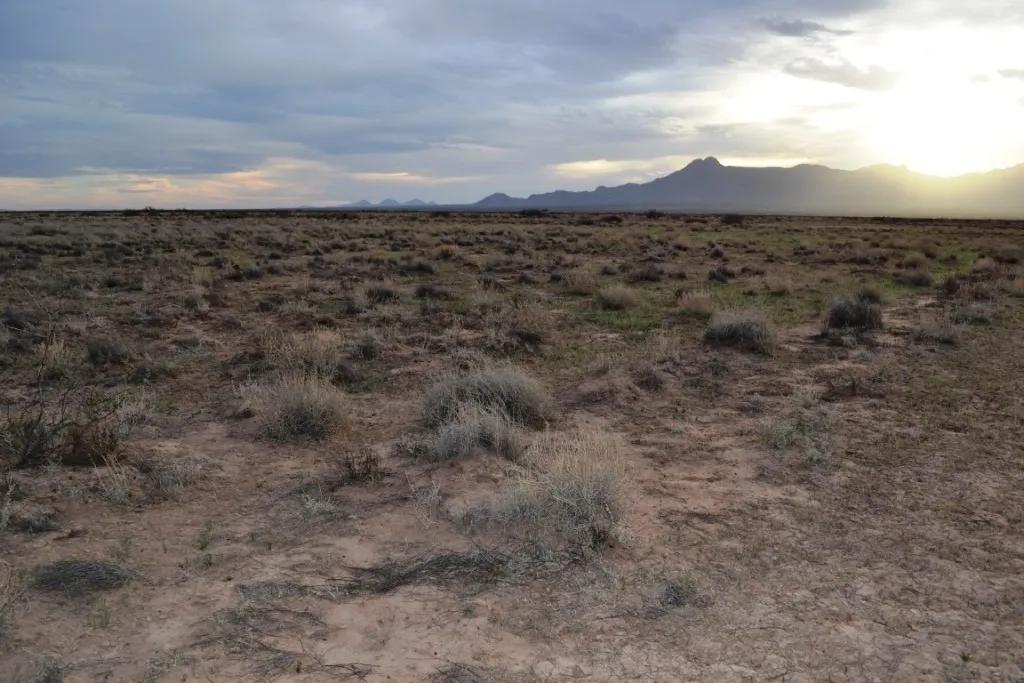 Southern New Mexico - 4 adjoining lots with distant mountain views