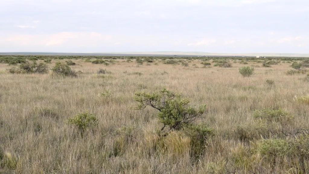 Mcintosh New Mexico Residential parcel 11 miles south of IH 40