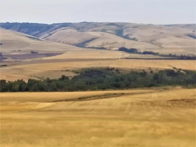 Pendleton/Cayuse Parcels