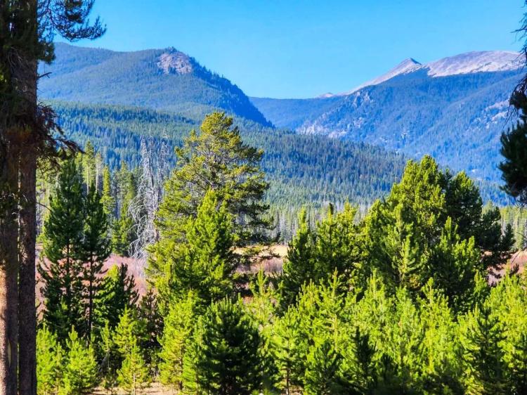 La Marche Creek Ranch