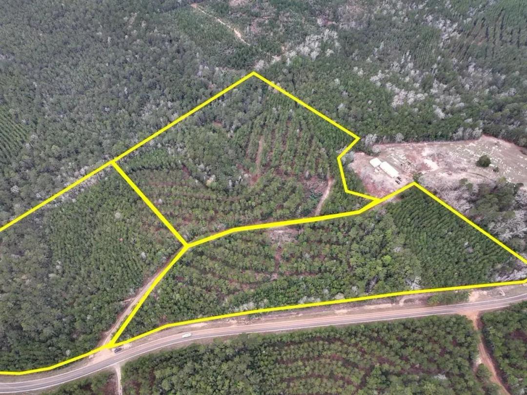 11 Acres | T-2 | County Road 1019 | 0911
