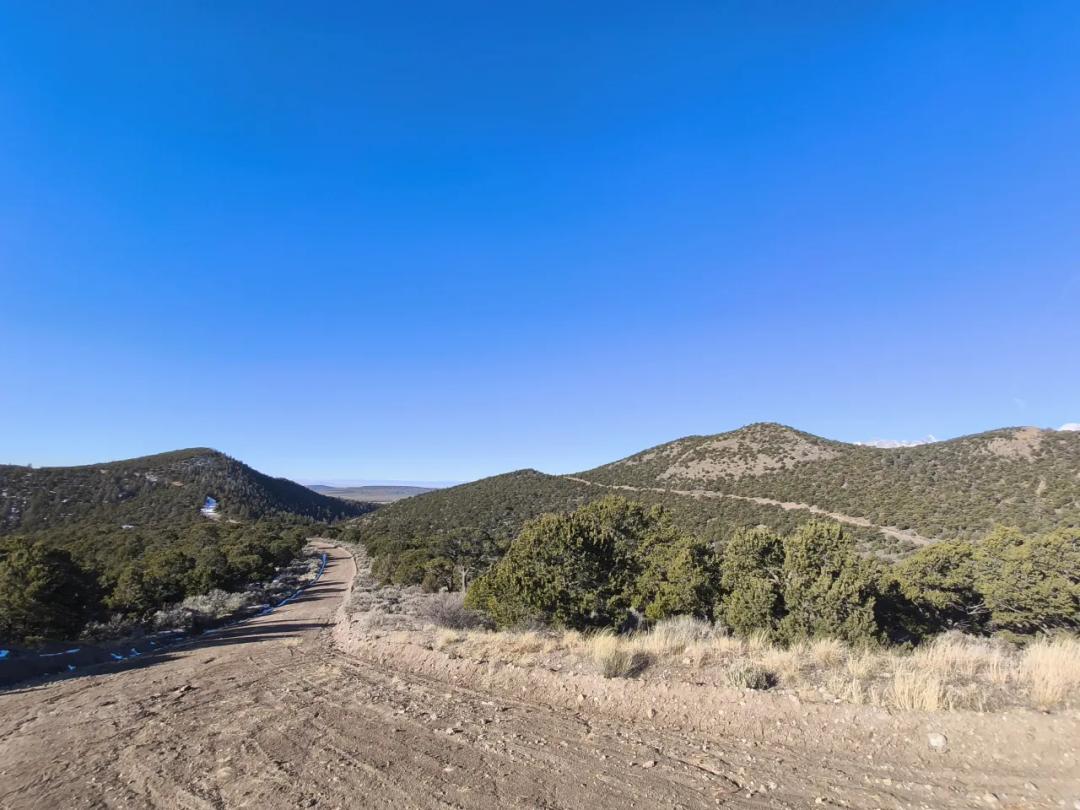 Heavily treed Parcel - Mountains of Southern Colorado - Privacy cul-de-sac