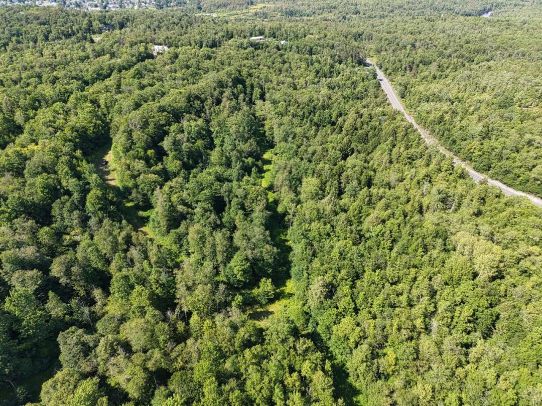 Lots 119-126 Tuscan Ridge, Davis, WV 26260
