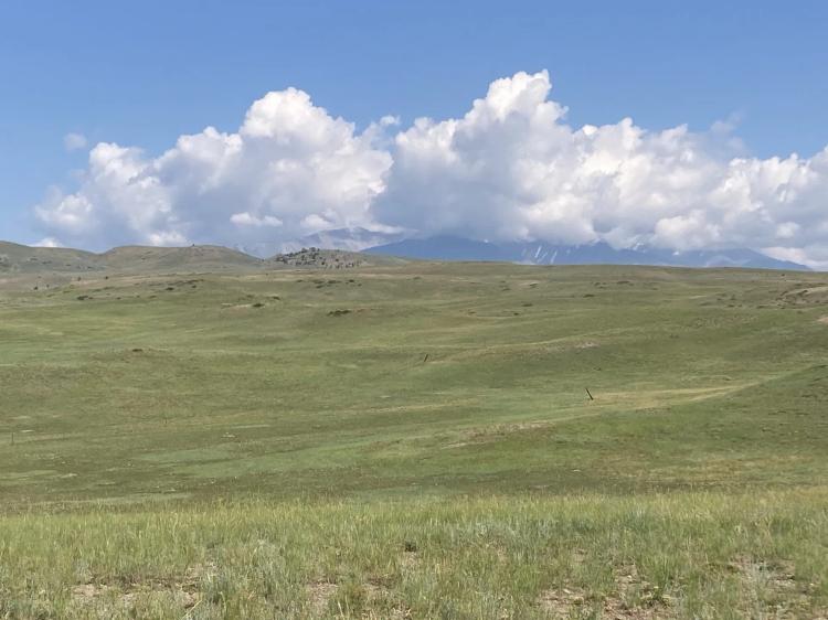 Cow Creek 80