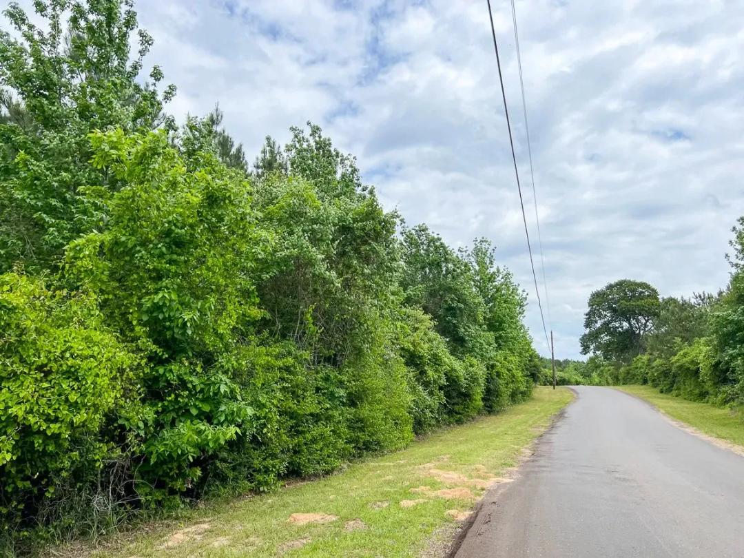 38 Acres | T-4 | CR 2145
