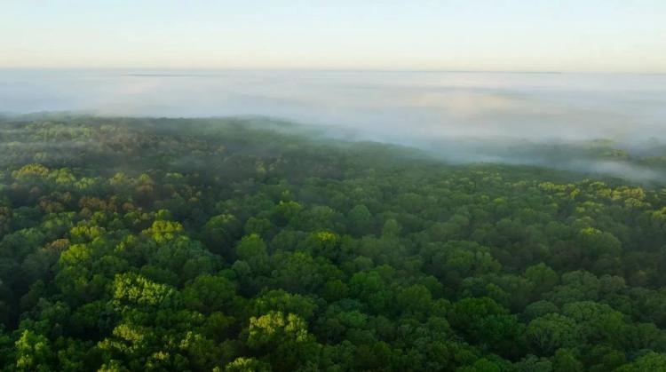 Large Recreational Tract With A Home In The Heart Of The Ozarks