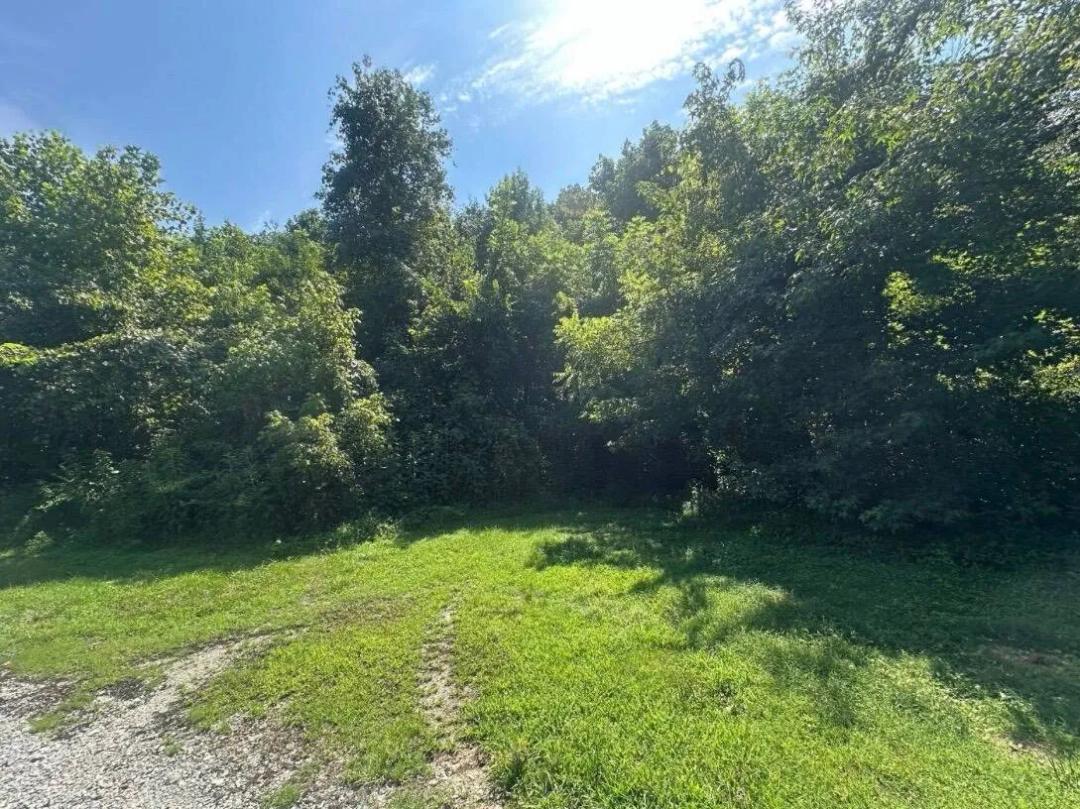 **PRIVATE WOODED ACREAGE WITH CUMBERLAND RIVER BOAT RAMP ACCESS!