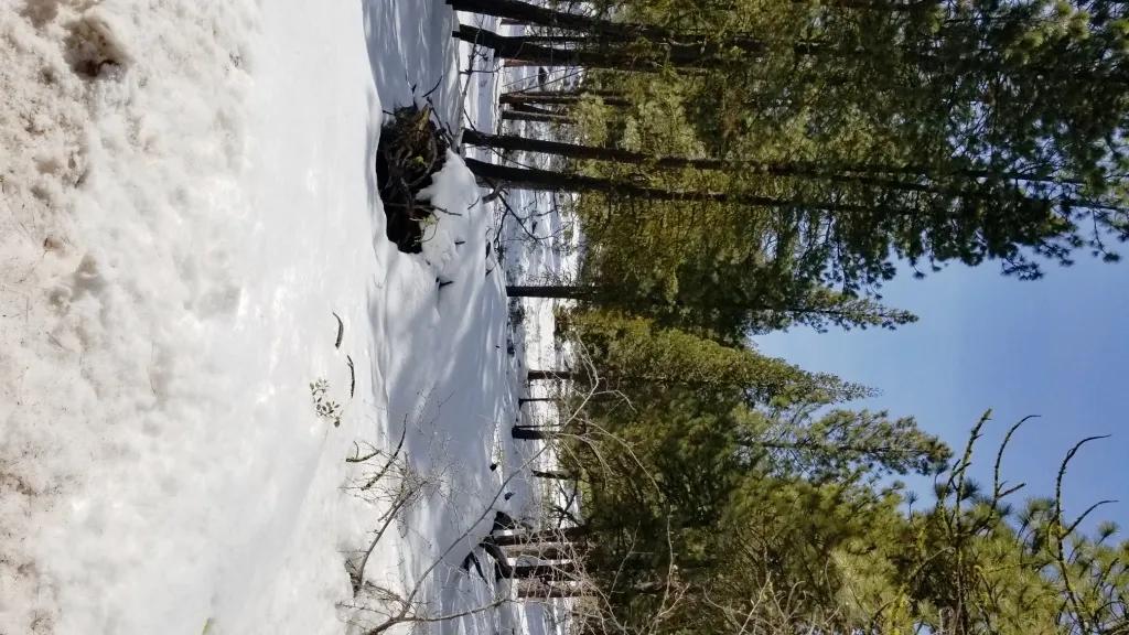 91038162-4