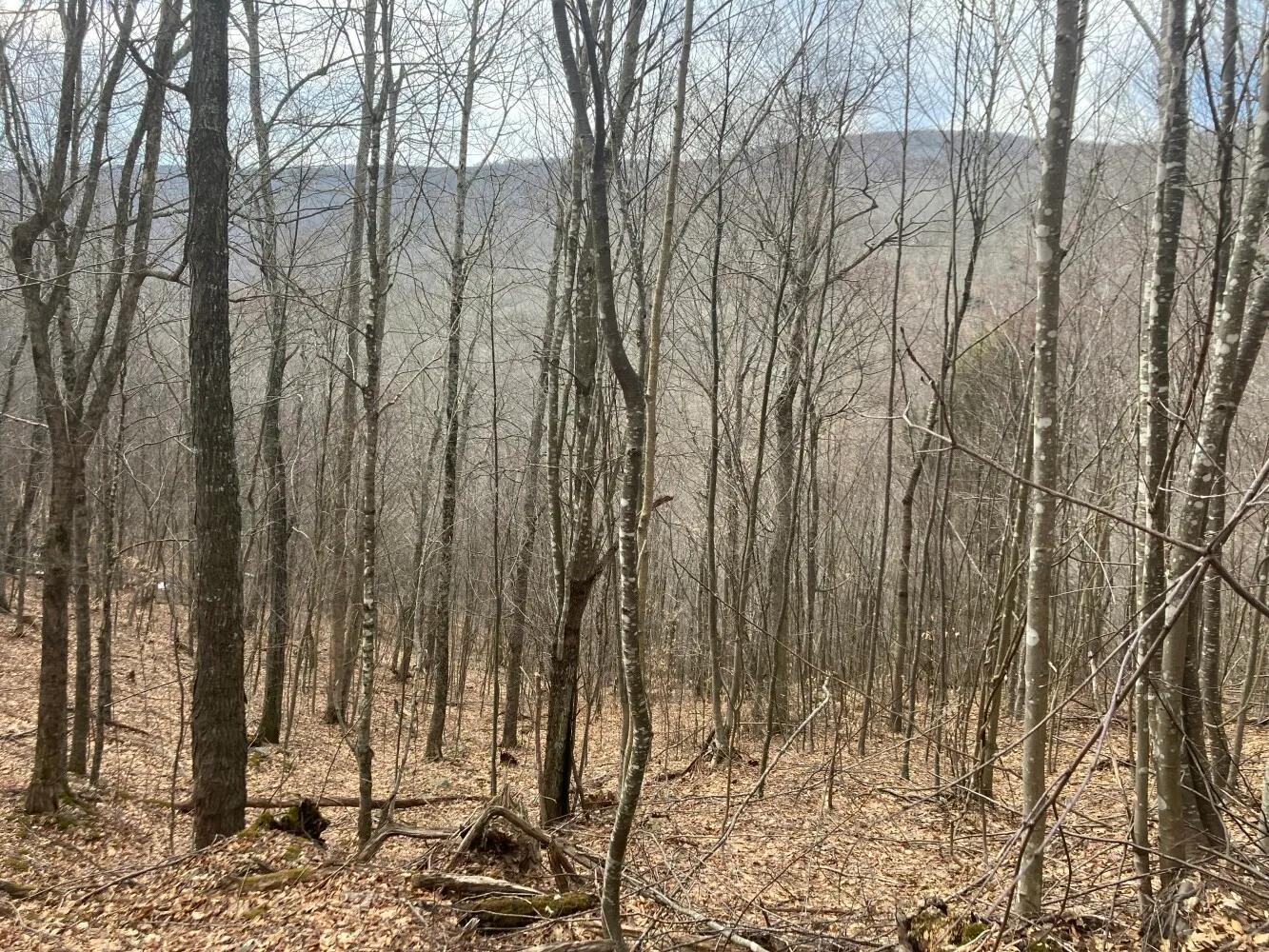 91048934-35