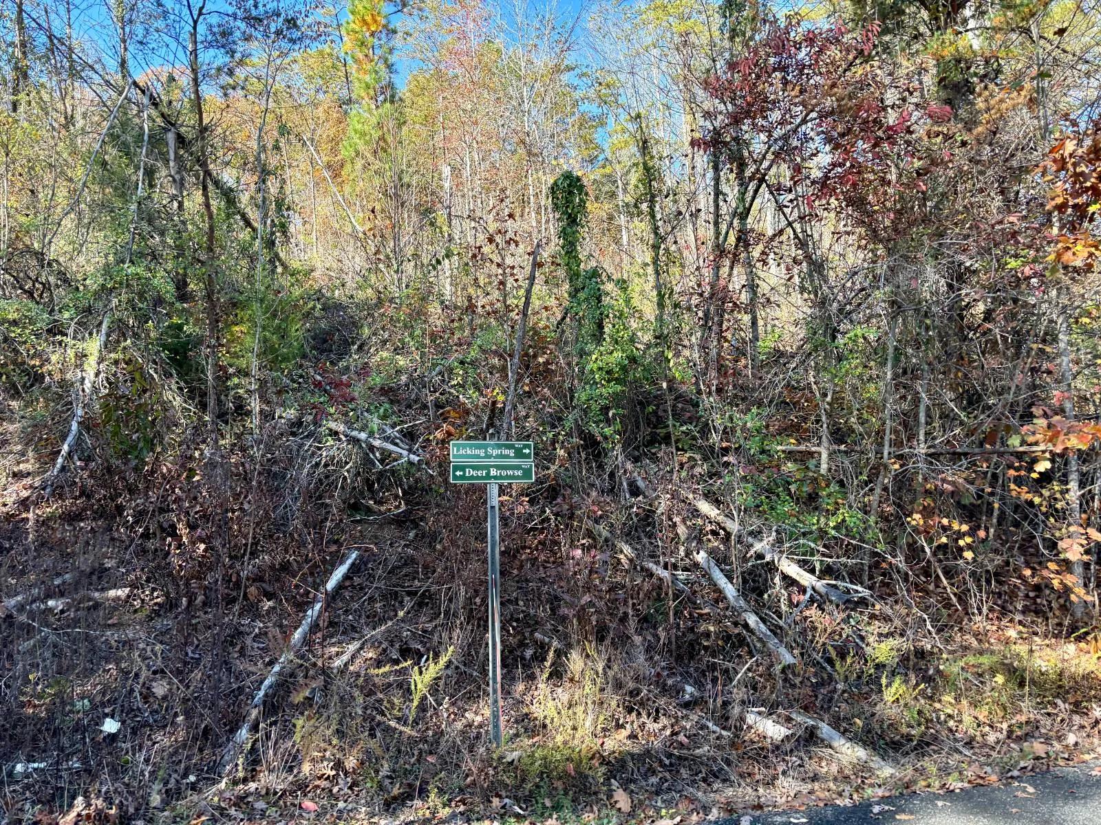 91066379-12