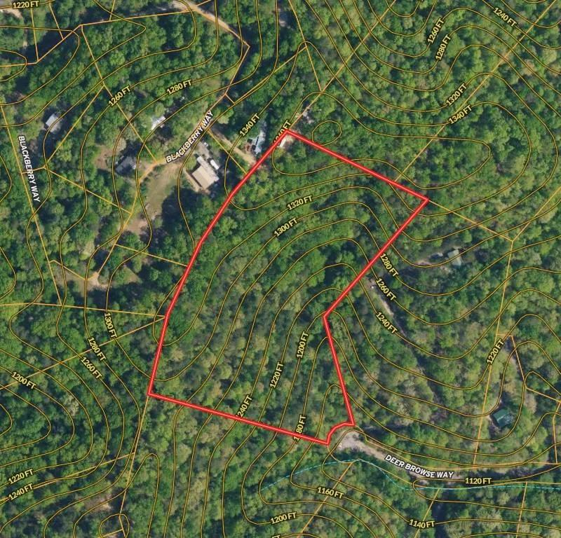 91066379-9