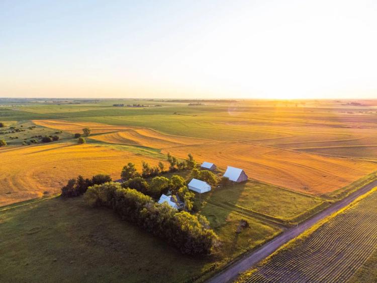 Bison Road Farm