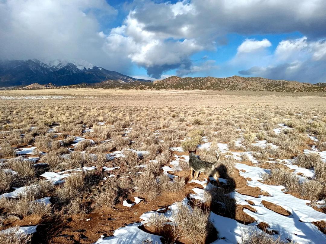 Near the eastern Hills and the Sangre De Cristos