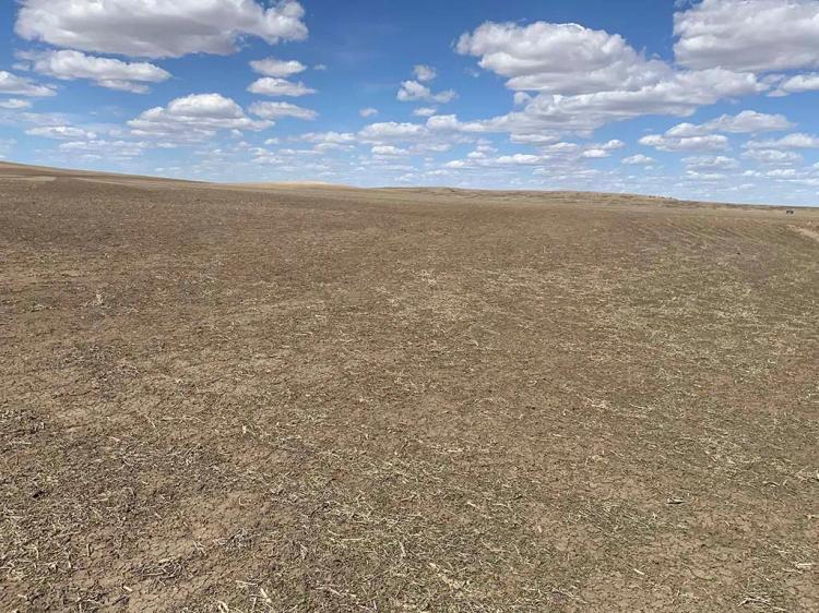 285 Acres, Mellette Co, SD, Productive Farmland