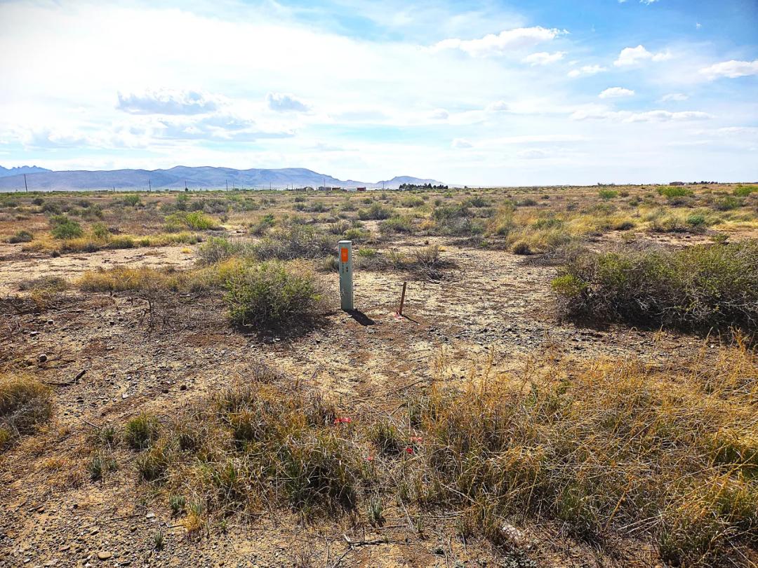 Scenic New Mexico Desert land - Paved road Frontage - Power at road