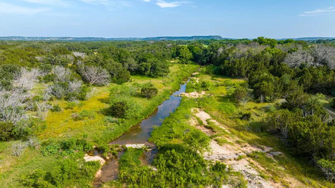 2195 Langes Mill Road - 90 Acres