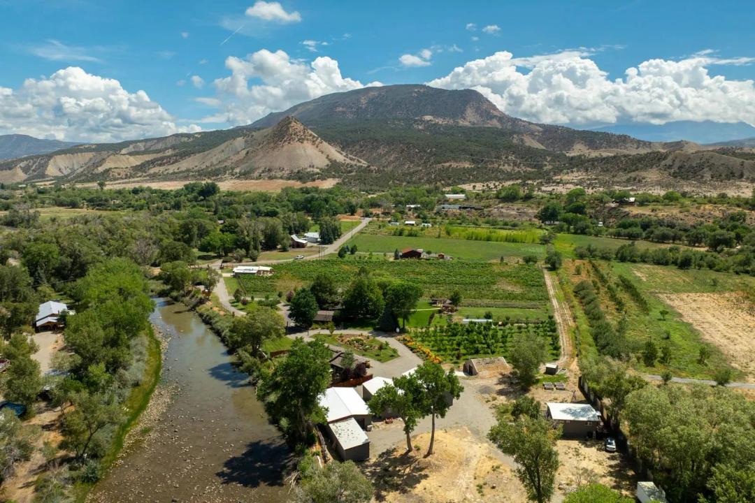 Painted Vineyard 