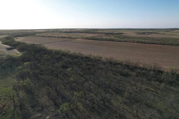 18+/- Acres, Jones County (Tract 5)