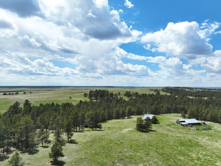 98 Acres, Dawes County, Crawford Big Game Hunting