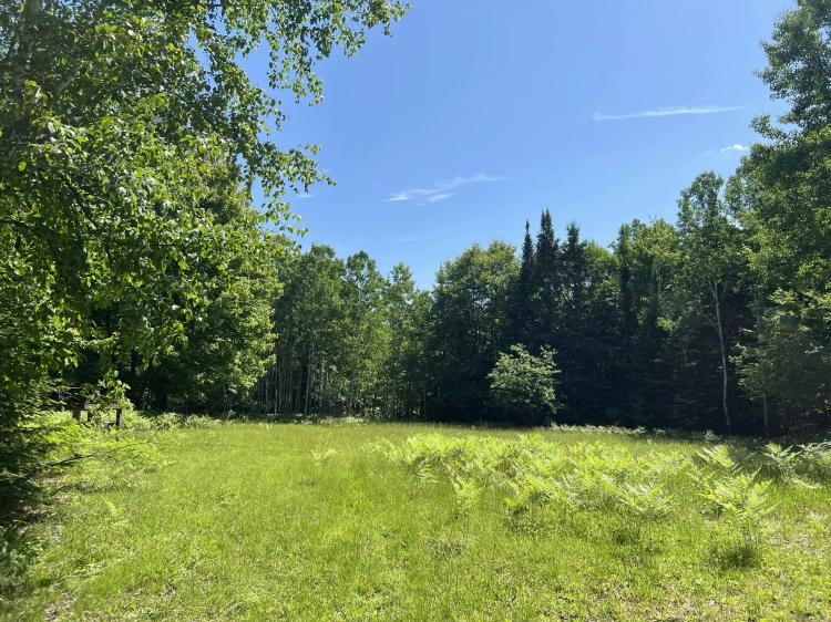 ±20 Acres - Wooded Hunting Retreat Near Lake Linden