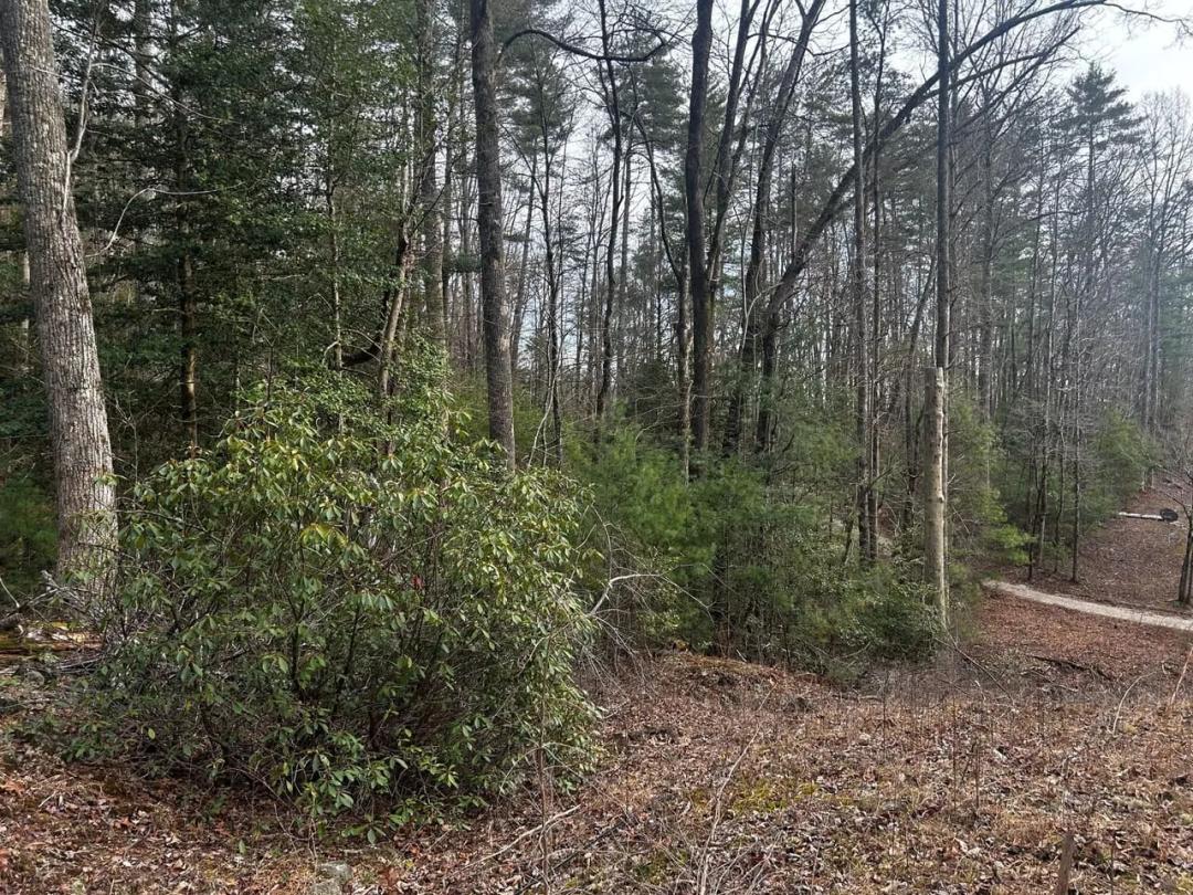 3.75 Acres Corinth Church Rd