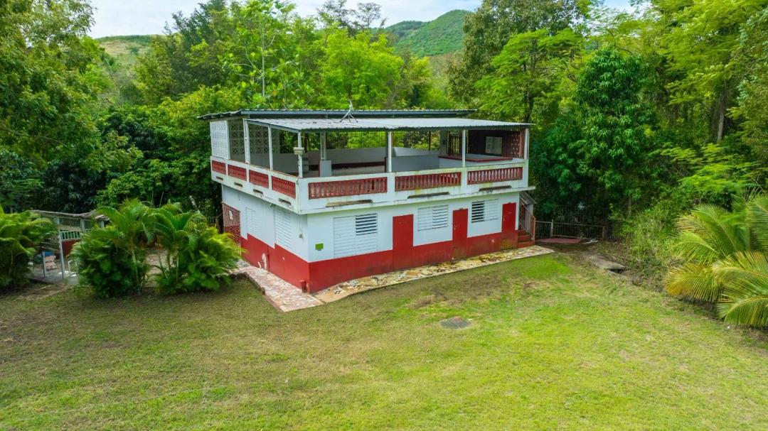 Spacious property on a flat 3-cuerda lot - Bo. Santa Catalina.