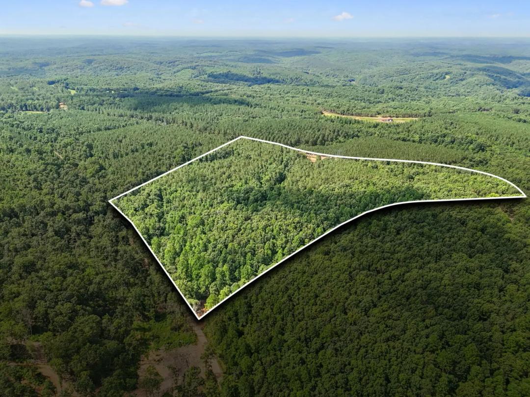 20.97 Acres at 0 Falls Branch Road