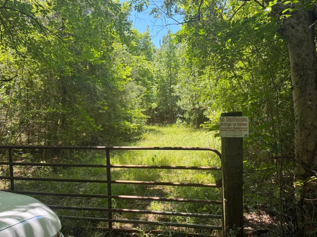 Lemonis Tract H 61 acres