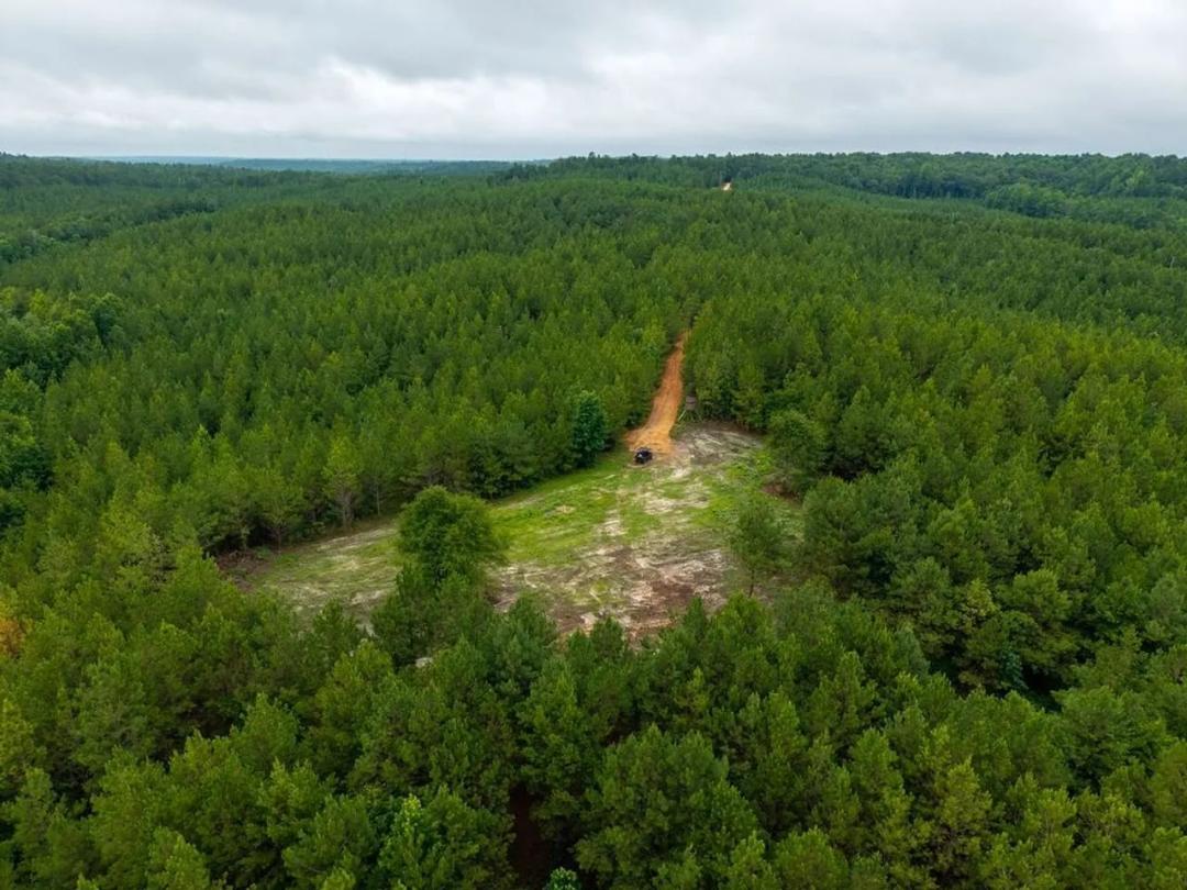 Lightwood 2- 116 acres potential homesite and hunting property in Chilton County