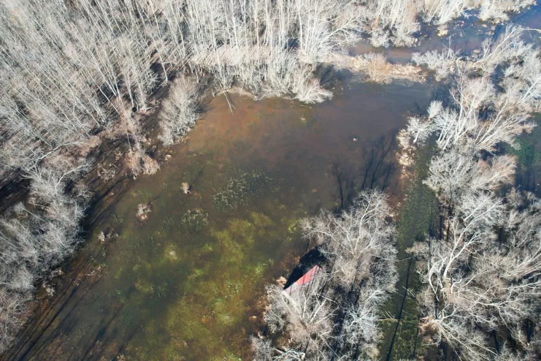 Waterfowl and Deer Hunting Recreational 360 Acres