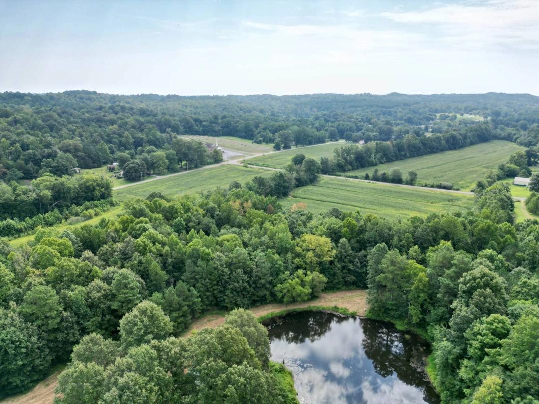 Online Auction!! 53 +/- Ac with Home Place &amp; Lake!