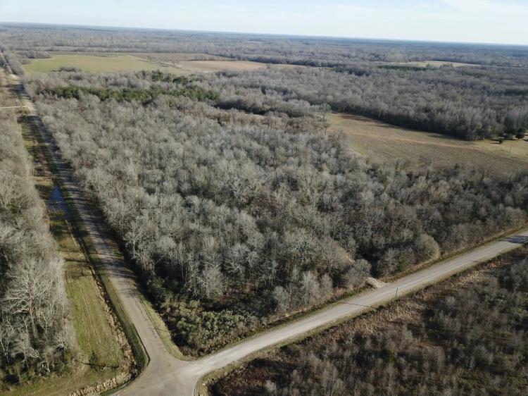 LA - Richland 36 acres +/-