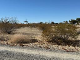 4 IMG_8866