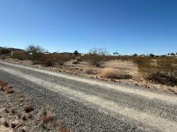 5 IMG_8871