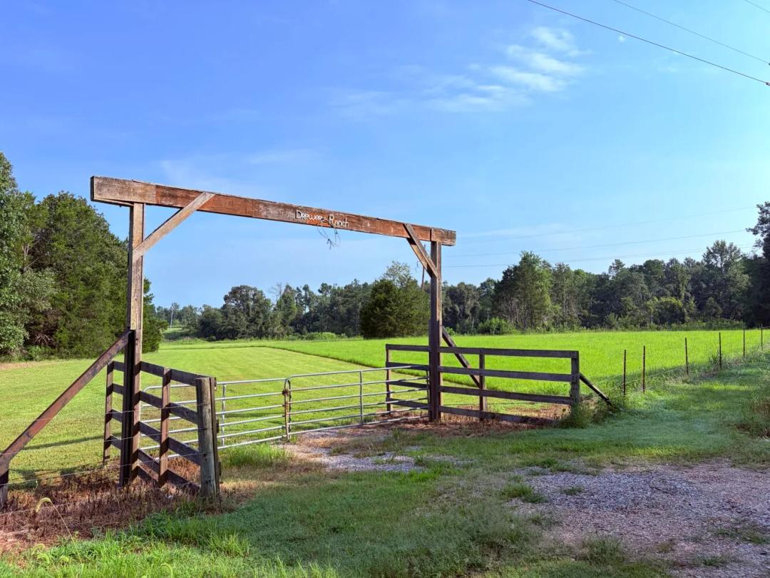 16.75 Acres at 0 Van Buren Road