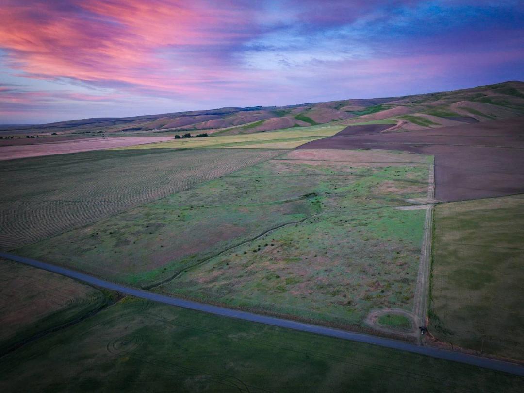 Blue Mtn Foothill CRP Homesite