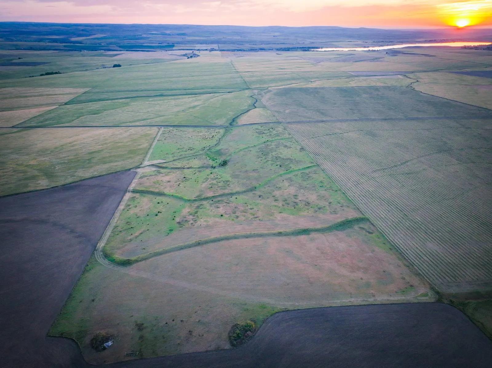 91507824-6